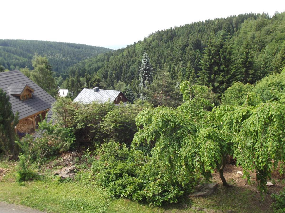 Chata S Vyhledem Jachymov Exterior photo
